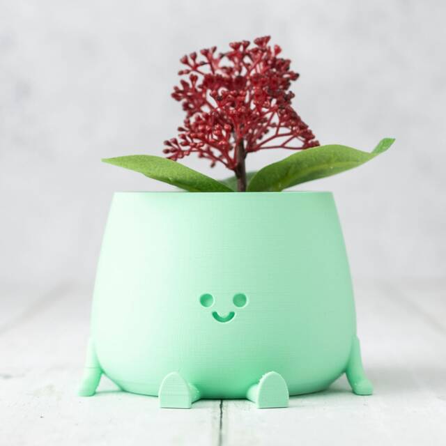 Curated visual reference: Visual Reference: 3D Printed Happy Face Planter Eco Friendly Bio Based Material