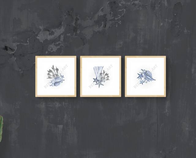 Hamptons Wall Art Prints Set Of 3 Coral & Shell Nautical Design by — free download