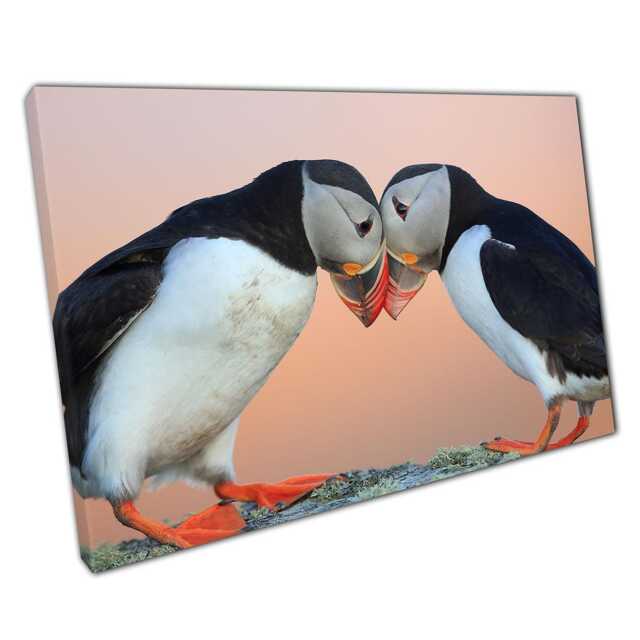View of Atlantic Puffin Canvas Wall Art Norwegian Wildlife Photography For Home ...