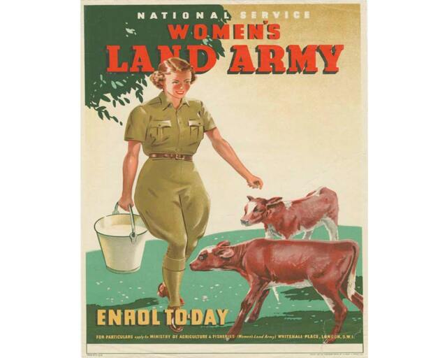 World War Propaganda Woman's Land Army Vintage Advertising Enamel Metal ...