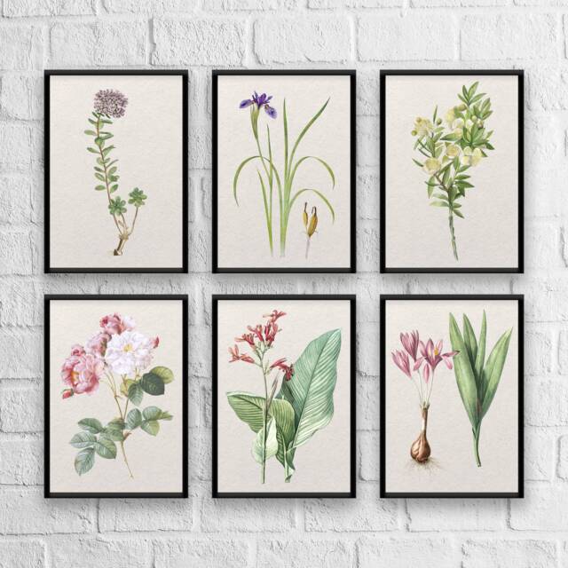 Antique Herb Botanical Print Set Kitchen Wall Art by Etsy | ufurnish.com