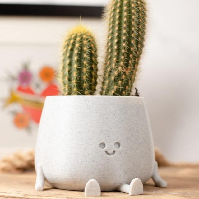 Luxury Eco Friendly Bio Based Materials Reference: 3D Printed Happy Face Planter Eco Friendly Bio Based Material