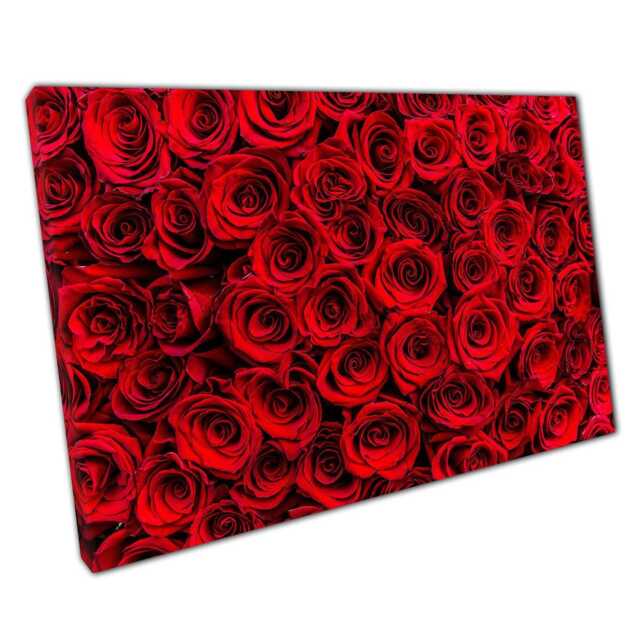 Vibrant Red Rose Photography Canvas Print - Romantic Floral Wall Art ...