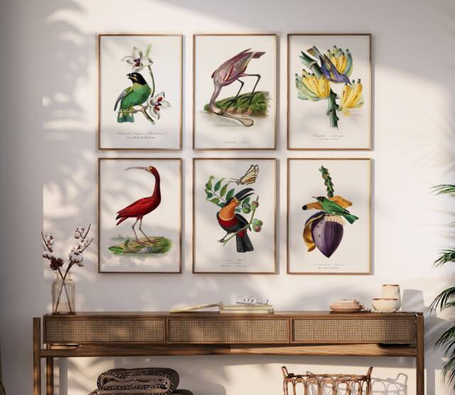 Set Of 6 Botanical Prints Gallery Wall, Vintage Bird Posters, Floral ...