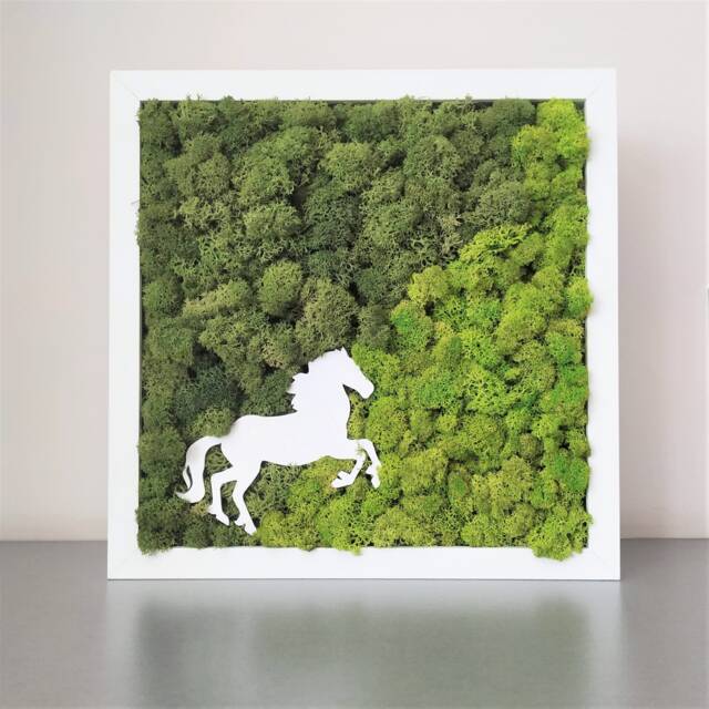 View of Reindeer Moss Wall Art Scandinavian Horse Decor - 25x25cm by Etsy ...