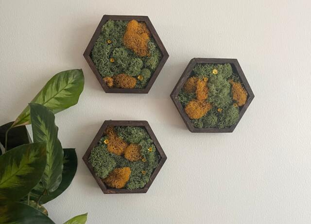Honeycomb Preserved Moss Wall Art Wood Hexagon Decor by Etsy | ufurnish.com