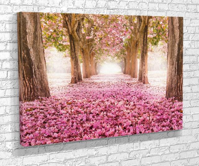 Pink Cherry Blossom Tree Tunnel Canvas Print - Large Wall Art by Etsy ...