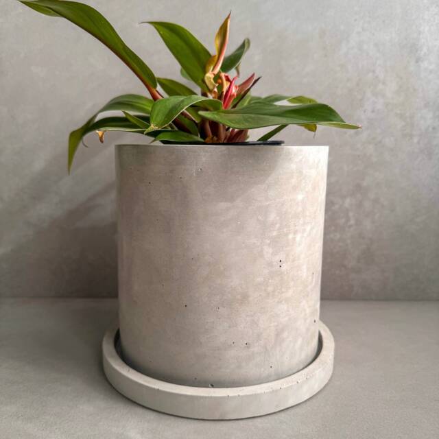 Picture of Concrete Planter With Saucer, Large Modern Plant Pot, Bubble Planter ...