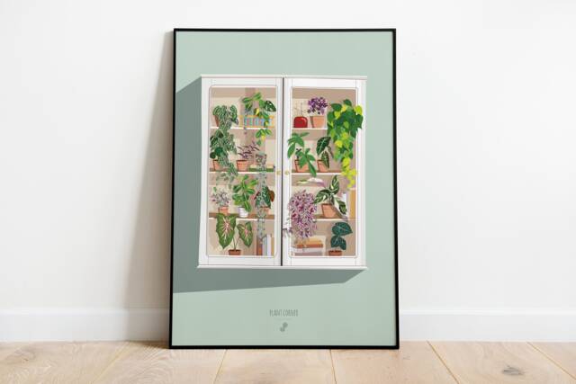 Plant Corner - A3/A4 Plant Poster Illustration, Botany, Plants ...