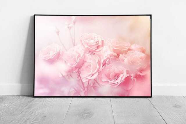 Picture of Romantic Blush Pink Roses Floral Art Print Soft Focus Wall Decor For ...