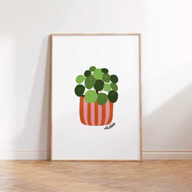 Pilea Peperomioides Print Poster, Chinese Money Plant, Living Room Wall ...