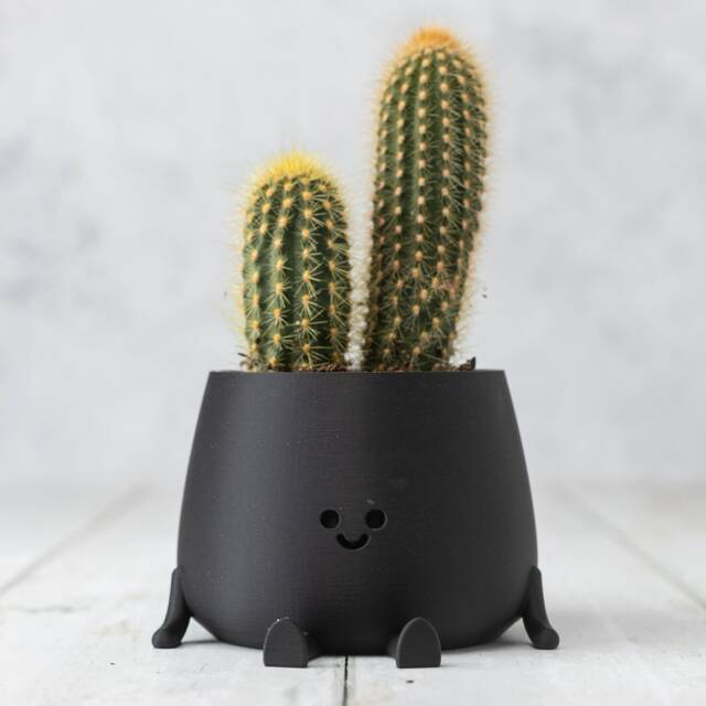 Curated visual reference: Gallery Detail: 3D Printed Happy Face Planter Eco Friendly Bio Based Material