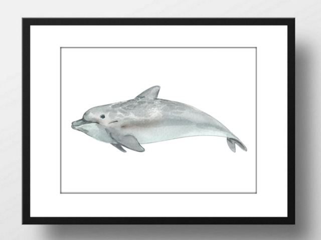 Din A4 Art Print Without Frame - Dolphin Bottlenose Sea Creature Ocean ...