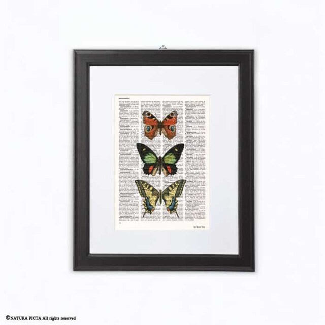 Butterfly Print Vintage Dictionary Page Insect Wall Art by Etsy ...
