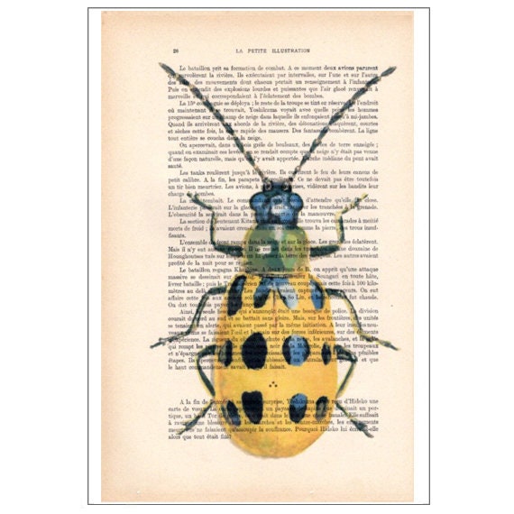 Beetle 09, Insect, Insect Art, Nature Deco, Beetle Print, Vintage ...
