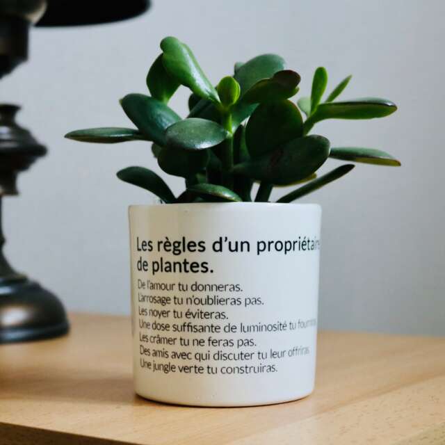 Pot Owner Flower Pot The Rules Of A Plant Owner- Original Gift For Plant Lovers ...