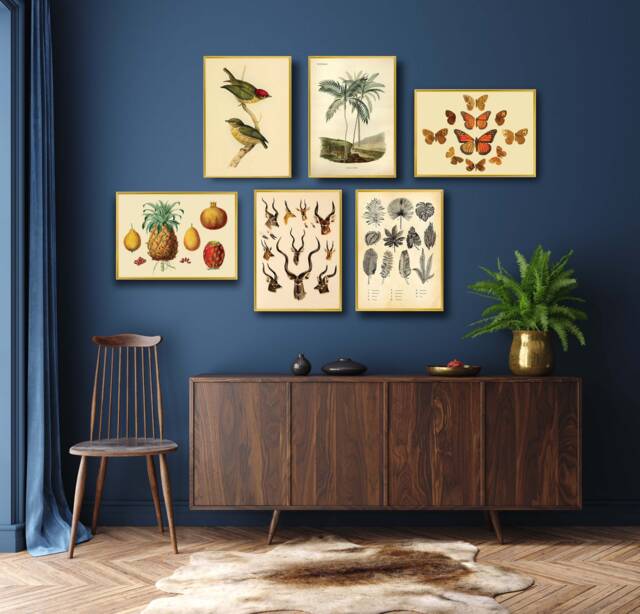 Birds & Butterfly Wall Art, Vintage Gallery Art Set by Etsy | ufurnish.com