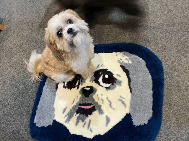 1M X Custom Commissioned Rug by Etsy | ufurnish.com