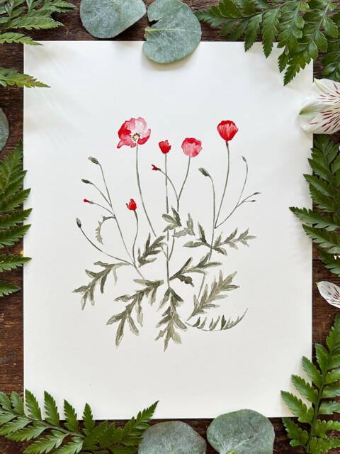Poppies Print - Watercolor Poppy Poppies Decor Wall Art by Etsy ...