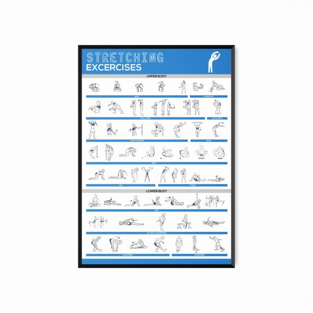 Print Off Stretching Routine stretching Exercise Fitness Workout Exercises Poster Print, Gym Chart ...