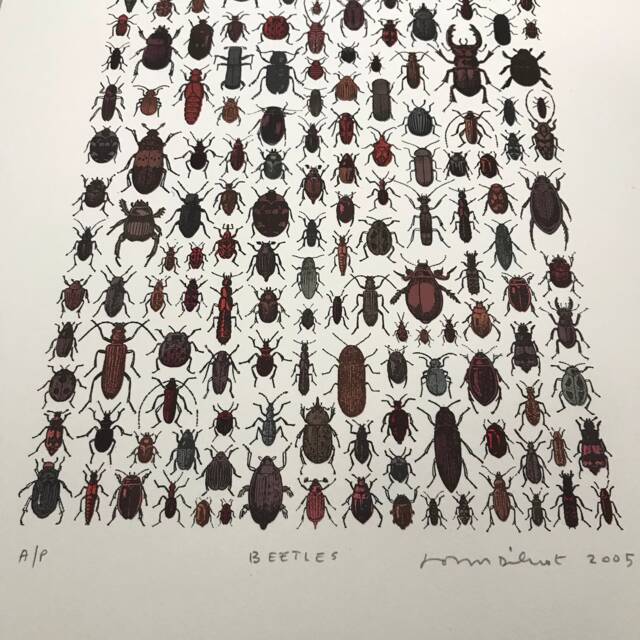 beetles-proof-sale-signed-original-screen-print-on-watercolour-paper