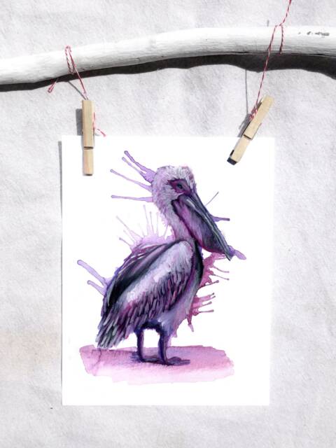 Pelican Wall Art - Ocean Bird Print Coastal Hanging Living Room ...