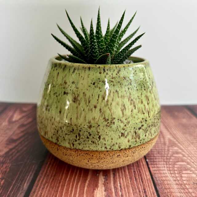 Hand Painted Ceramic Planter Speckled Clay Wheel Thrown Pottery by Etsy ...