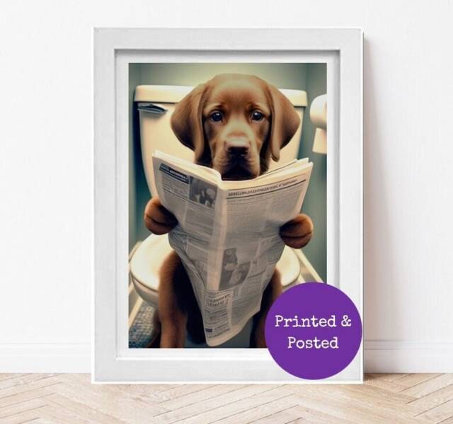 Chocolate Labrador Sitting On Toilet Reading Newspaper - Brown Lab ...