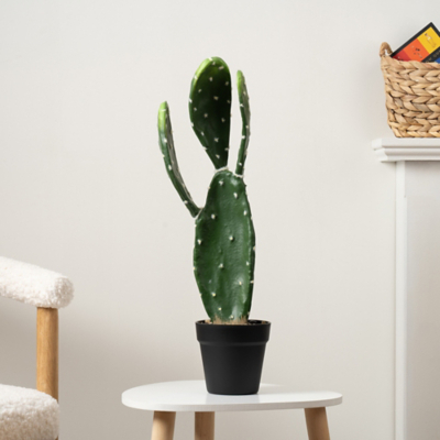 Scottish Everlastings 60cm Faux Prickly Pear Cactus by George at