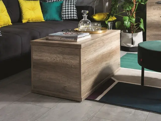 Trunk Coffee Table Kids Toy Storage Chest Seat with Lift Up Lid Urban ...