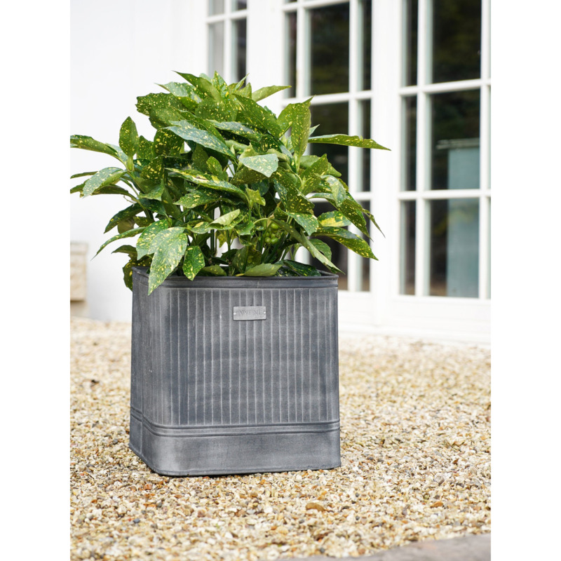 Ivyline Hampton Galvanised Metal Outdoor Planter, 34cm by John Lewis