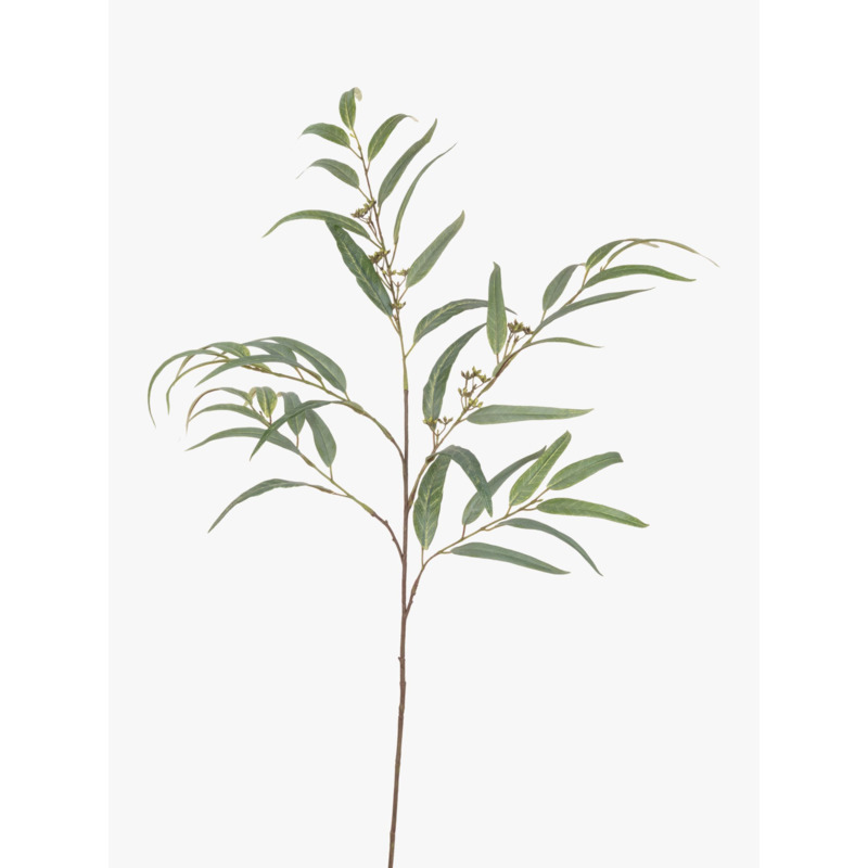 Floralsilk Artificial Long Leaf Eucalyptus by John Lewis & Partners
