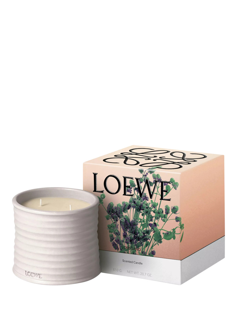 LOEWE Oregano Scented Candle by John Lewis & Partners | uFurnish.com