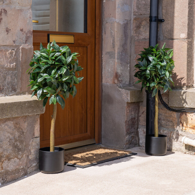 Set of 2 90cm Artificial Bay Trees in Black Pots by La Redoute ...