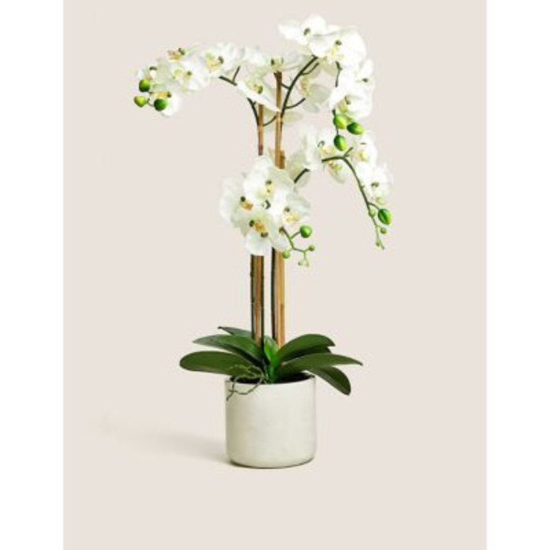 Moss & Sweetpea Artificial Real Touch Extra Large Orchid in Pot White Mix, White Mix by Marks