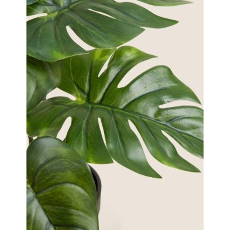 Moss & Sweetpea Artificial Monstera Plant in Pot Green, Green by