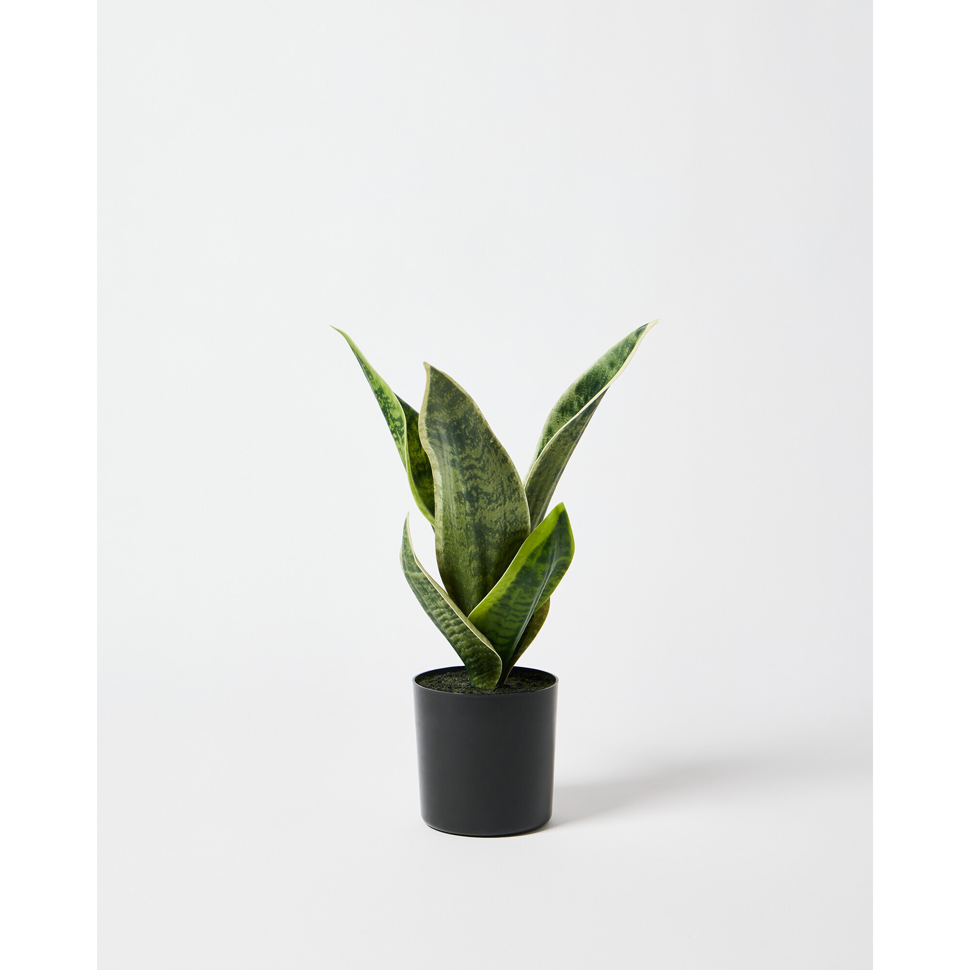Tiger Tail Artificial Plant by Oliver Bonas