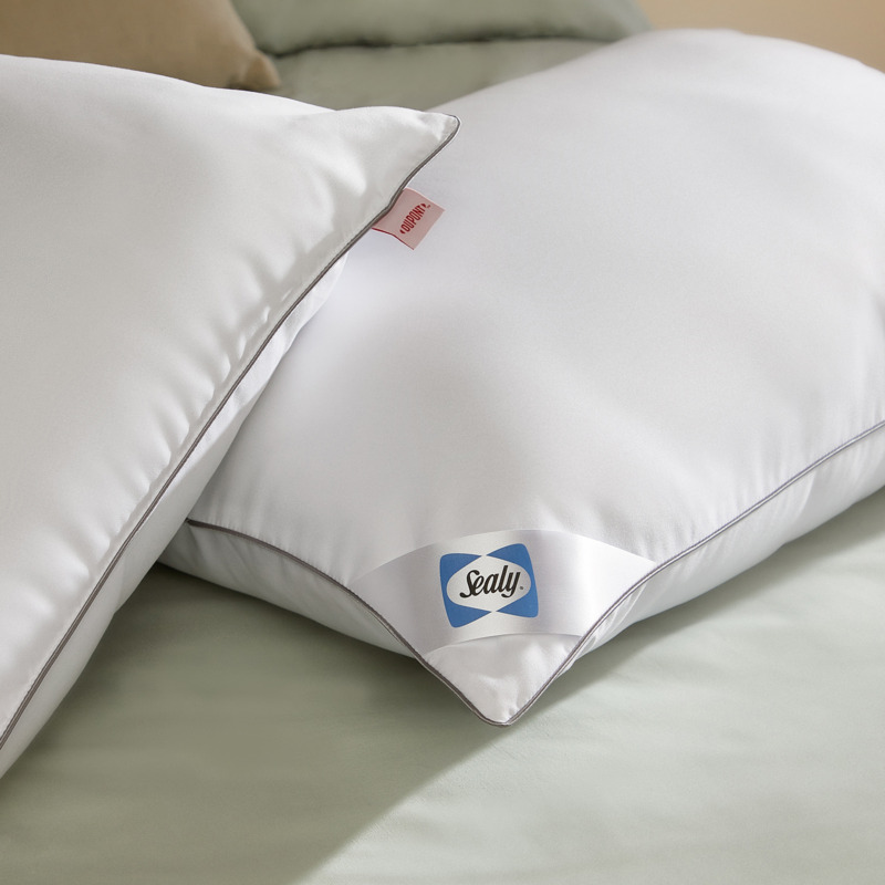 Sealy AntiAllergy Pillows 2 Pack by Sleepy People