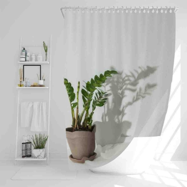 Zamioculcas Shower Curtain by Tesco - Marketplace | ufurnish.com