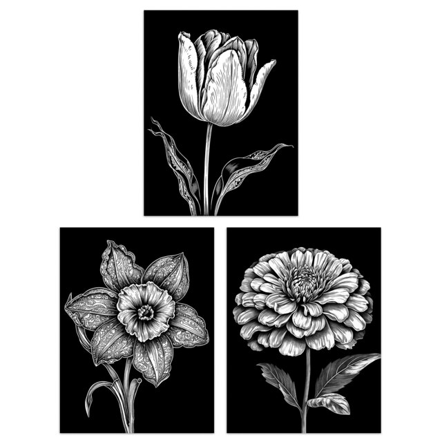 Set of 3 Elegant Spring Flowers Tulip Daffodil Zinnia White on Black ...