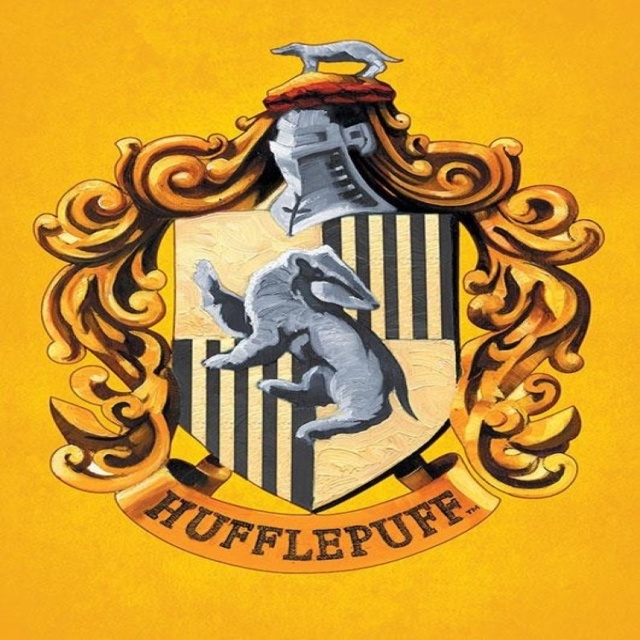 Harry Potter (Hufflepuff Colourful Crest) 60X80X2Cm Stretched Canvas ...