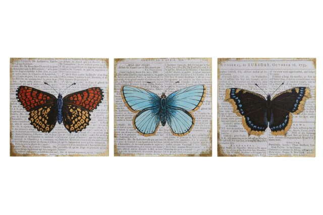 Interiors by Premier Butterfly Wall Plaques – Set of 3, Trio Of Wooden ...
