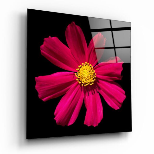 Red Flower Glass Wall Art - - That Home Shop by That Home Shop ...
