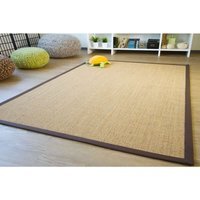 Brazil Sisal Flatweave Rug Colour Beige Border Brown - Beige / Brown ...