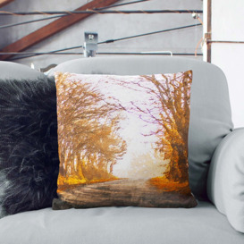 A Road Through the Woods in Abstract Cushion with Filling
