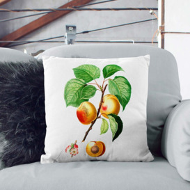 Branch of an Apricot Tree by Pierre-Joseph Redoute Cushion with Filling