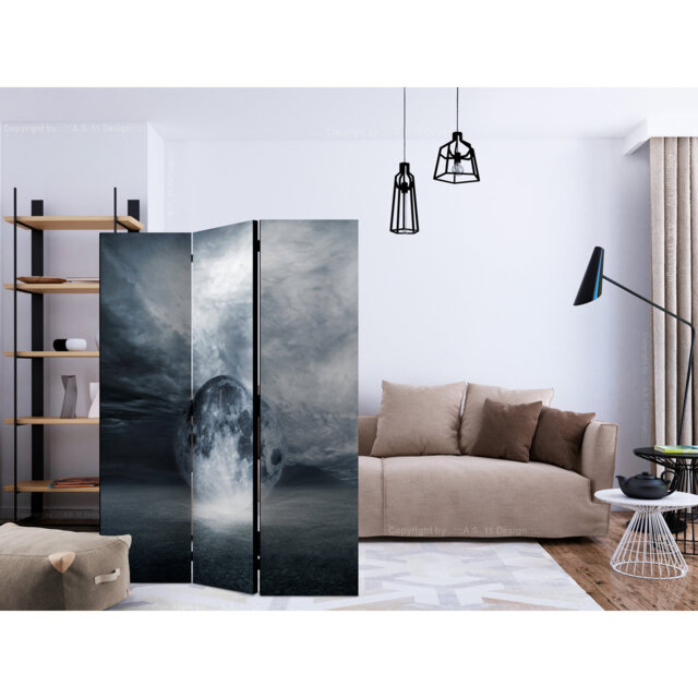 Room Divider - The Lost Planet [Room Dividers] by Wayfair | uFurnish.com