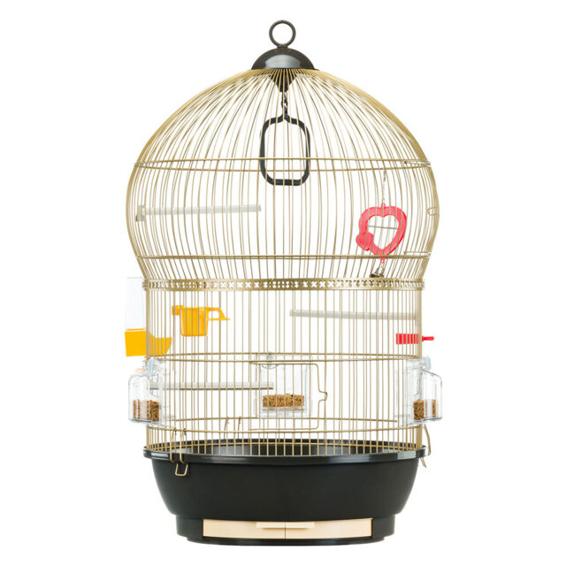 68.5Cm Hanging Bird Cage with Perch by Wayfair | ufurnish.com