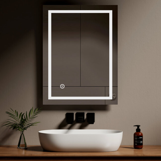 Briano Lighted Wall Mounted Bathroom / Vanity Mirror by Wayfair ...