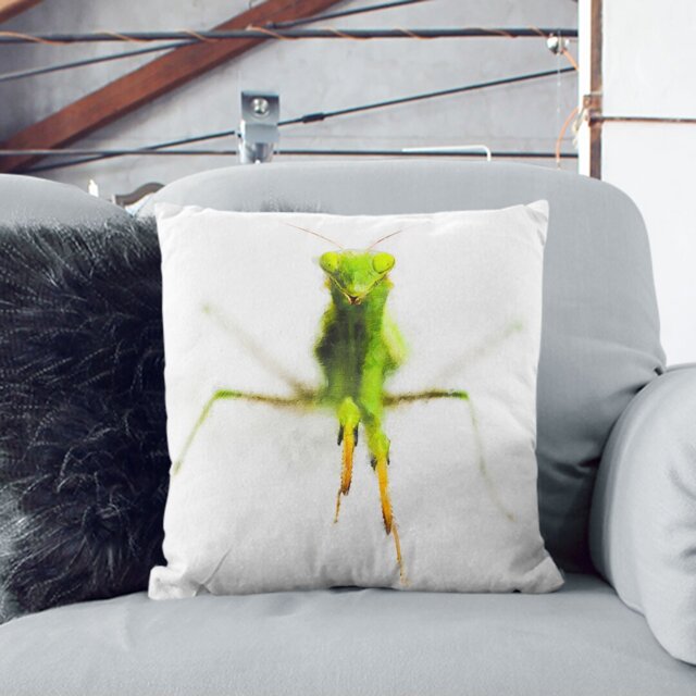 Praying Mantis Cushion with Filling by Wayfair | ufurnish.com